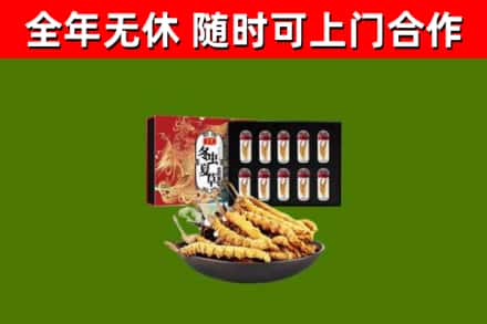 新余回收冬虫夏草价格
